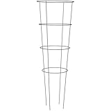 Wasserspender pflanzen Wasserspender pflanzen