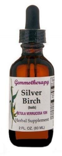 Gemmotherapy Silver Birch (Betula Verrucosa) 1DH Boiron