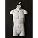 Male Torso Body Mannequin Form (Hips Long) - Great For Small And Medium Sizes - White