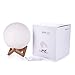 LOFTEK 7.1-inch 3D Moon Lamp, Cool Mood Lamp with Stand, Touch Control Night Light for Kids, 5V USB Fast Charging, Perfect Choice for Kids Lover Birthday Gifts (Warm and Cold Light)