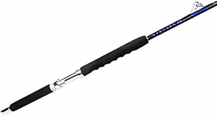 boat fishing rod