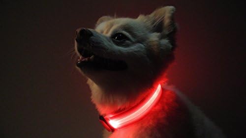 The Pet Hut USB Rechargeable LED Dog Safety Glow Collar - 4 Colors And 3 Sizes! (Red Medium) HOLIDAYS PROMO ON NOW 50% OFF FINAL SALE PRICE