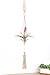 Mkono Himmeli Air Plant Holder with Chain and Macrame Hanger Mobiles Decor