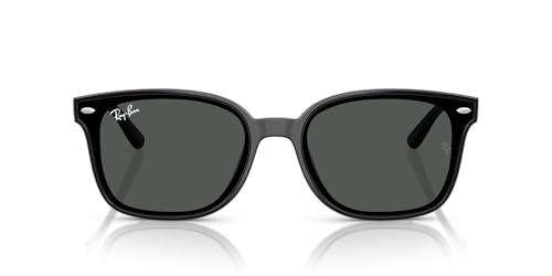 Ray-Ban (レイバン) サングラス 0RB4461D BLACK DARK GREY (ブラック/ダークグレー) 601/8764 アジアンフィット 偏光