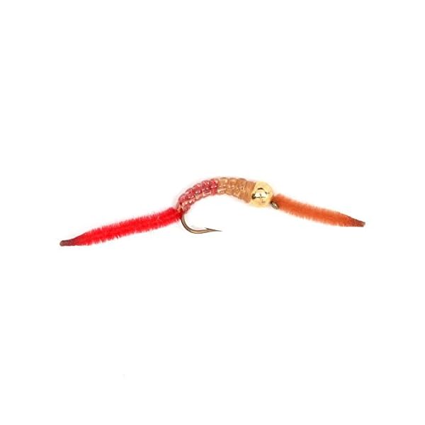 Trout-Fly-Assortment-2-San-Juan-Worm-Power-Bead-1-Dozen-Wet-Nymph-Fly-Fishing-Flies-Collection-12-Flies-4-Hook-Size-10