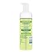 Simple Kind to Skin Foaming Facial Cleanser Facial Care 5 oz