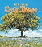 Oak Trees (First Step Nonfiction)