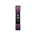 Fitbit Alta Classic Accessory Band, Plum Large