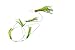 EAT MY TACKLE Offshore fishing lure green squid daisy chain