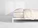 Casper Sleep Soft and Durable Supima Cotton Sheet Set, Queen, Cream