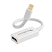 BlueRigger Mini DisplayPort to HDMI Female Adaptor Cable ((Mini DP/Thunderbolt to HDMI Cable) - Compatibe with MacBook Pro/Air - with HD Audio