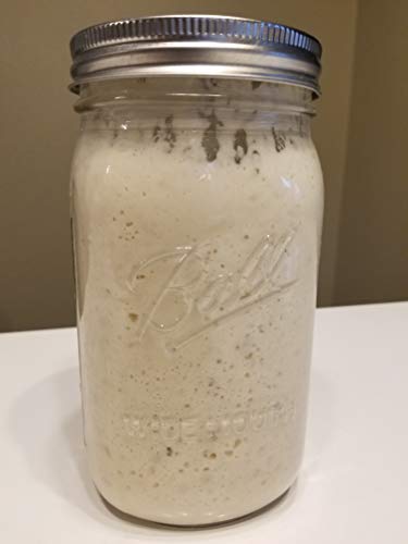 Wild Wheat Sourdough Starter Dehydrated