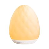 Seabiscuit Touch Lamp, Timer Setting Dimmable Warm