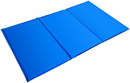 GUOYI Pet Cool Mat, reg;Dog Cat Cool Mat Self Cooling Gel Mat Pad Bed Mattress Heat Relief,Perfect for Floors, Couches, Beds, Crates, Kennels or Cars(XL,50x90CM)