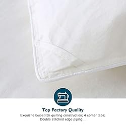 Oaken-Cat Feathers Down Comforter Twin