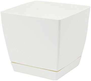 Blanco de plástico cuadrados maceta Coubi 15 cm con bandeja extraíble: Amazon.es: Jardín