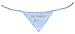 Embroidered Cute Dog Pet Cat Birthday Bandana for Cats Dogs, 100% Cotton, Blue