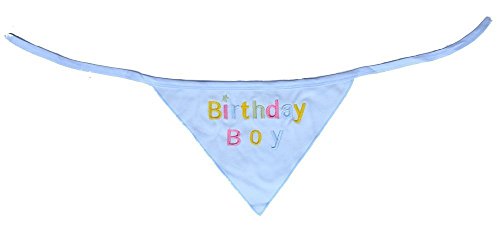 Alemon Dog Pet Birthday Bandana for Dogs, Blue