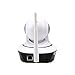 Night Vision Wireless IP Camera - NIANTE AB-003-HD(2017 New Design) IP Address Camera for Security Surveillance System, including Pan/Tilt and 2 Way Audio, Alarm, Heavy-Duty, 2000+ Instagram Likes