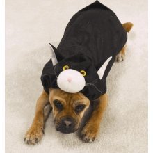 Zack and Zoey Doggone Cat Costume Size Xsmall