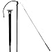 Dressage Whip