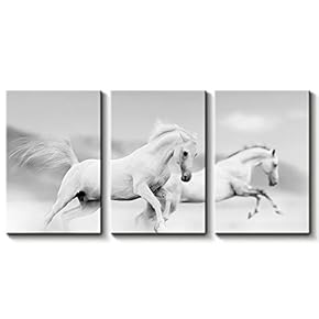 3 Panel Beautiful White Horse Painting Wall Decor...