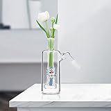 LYZC Glass 14mm 45 Degree Adapter, Reusable