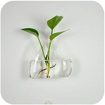 QianQianStore Flower Plants Terrarium Container Vase Micro Landscape Wedding Decoration 6 Shapes DIY Clear Hanging Glass Vase,C