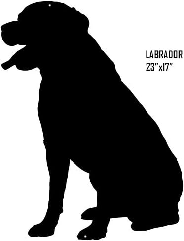 cheap labrador
