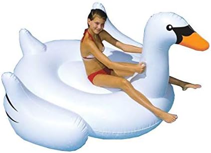 derpy swan float