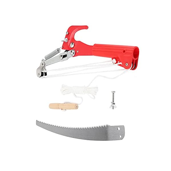 Baumschere StangensÃ¤ge ohne Stange, Gartenschneidewerkzeug, 4 RÃ¤der Scharfes Gartenscherenscherenschneider-Trimmwerkzeug ObstpflÃ¼cker Harvester-StangensÃ¤ge Baumschneidemaschinenschneidemaschine – Bild 3