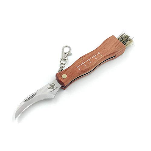 Camping Hunting Folding Mushroom Knife Fungus Truffles Harvest Sharp Knives Natural Wood Handle Pocket Knife w/Bristle Brush Small & Large (Large)