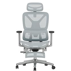 FLEXISPOT ErgoX Premium Ergonomic Office Chair with