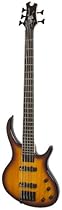 Epiphone 