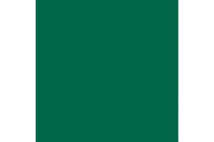 Jillson Roberts 6-Roll Count Recycled All-Occasion Solid Color Gift Wrap, Hunter Green Matte (R925)