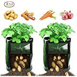 Besiva Grow Bags, Potato Grow bags 2-Pack, Garden Planter Bags with Flap and Handles Heavy Duty Suitable for Potato, Carrot, Tomato, Onion and so on (Green)