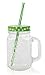 Golden Spoon Glass Drinking Jar with Handle, Stainless Steel Lid, Stainless Steel Colored Lid, Colored Straws, Dishwasher Safe, BPA Free, Set of 4 (16 oz/Pint)