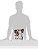 Company of Animals Nina Ottosson Dog Magic Interactive Plastic Toy