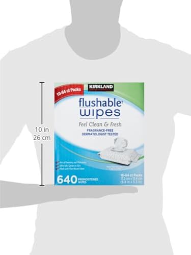 Kirkland Signature Kirkland signature moist flushable wipes 632