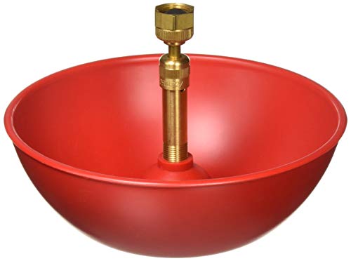 Little Giant Automatic Poultry Fount