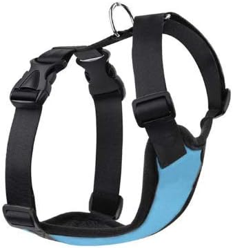 New G Line Blue Dog Harness Breathable Comfortable Pet Vest Adjustable Soft Padded Dog Power Strap, size L