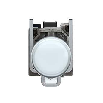 Schneider Electric XB4BVB1 Piloto Luminoso Redondo Diámetro 22, IP65 ...
