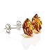 925 Sterling Silver Stud Earrings Rose with Natural Honey Baltic Amber for Women - Hypoallergenic