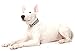 BLIND DOG White Colour Coded Nylon S-M L-XL Buckle Dog Collars (No/Limited Sight) PREVENTS Accidents by Warning Others of Your Dog in Advance (L-XL 38-64cm (15 to 25inch)