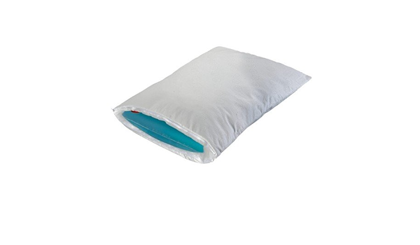 pillow with water bladder