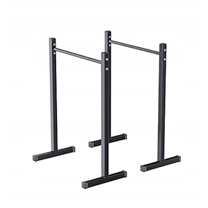 QLS Dipstation Handriel Barren Stand Fitness Dip Training tot 280 kg Davski