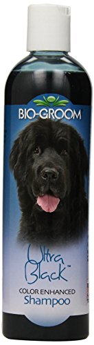 Bio-Groom Ultra Black Color Enhancer Pet Shampoo, 12-Ounce