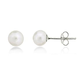 Sterling Silver Freshwater Cultured White Button Pearl 5.5-6mm Stud Earrings