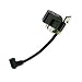 Euros 545081826 Ignition Coil Module Replaces for Poulan Craftsman Weed Eater Blower FB25 BVM200VS BVM210VS PPB430VS SM210VS VS2000BV Engine