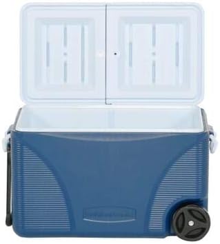 rubbermaid 75 qt cooler